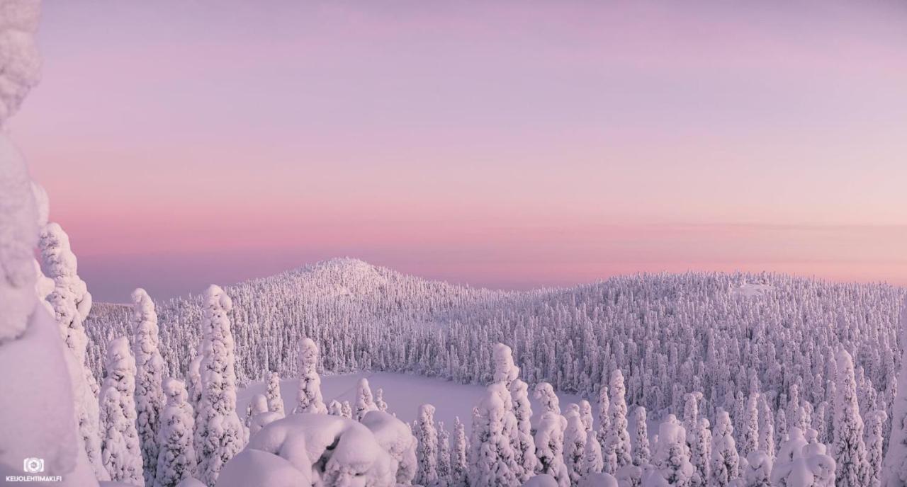 Hotelli Kultainen Joutsen Kuusamo Kültér fotó